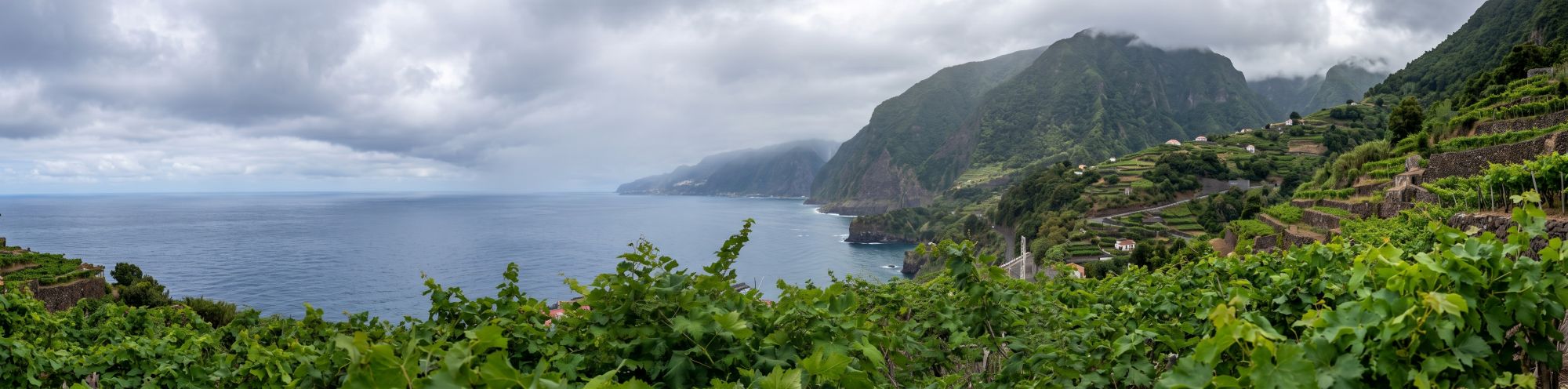 Vinařská krajina Madeira